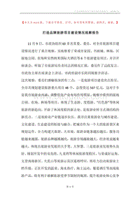 打造品牌旅游项目建设情况视察报告.docx