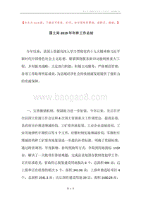 国土局2019年年终工作总结.docx