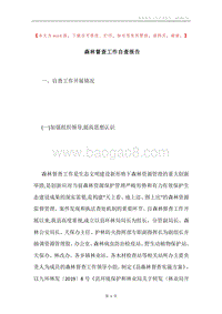 森林督查工作自查报告.docx