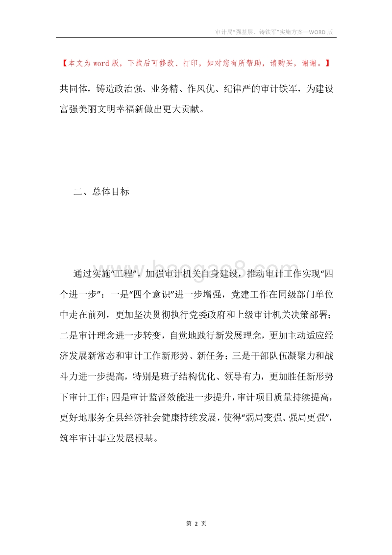审计局“强基层、铸铁军”实施方案.docx_第2页