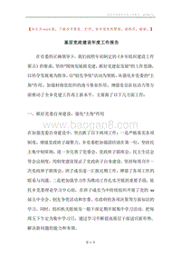 基层党政建设年度工作报告.docx