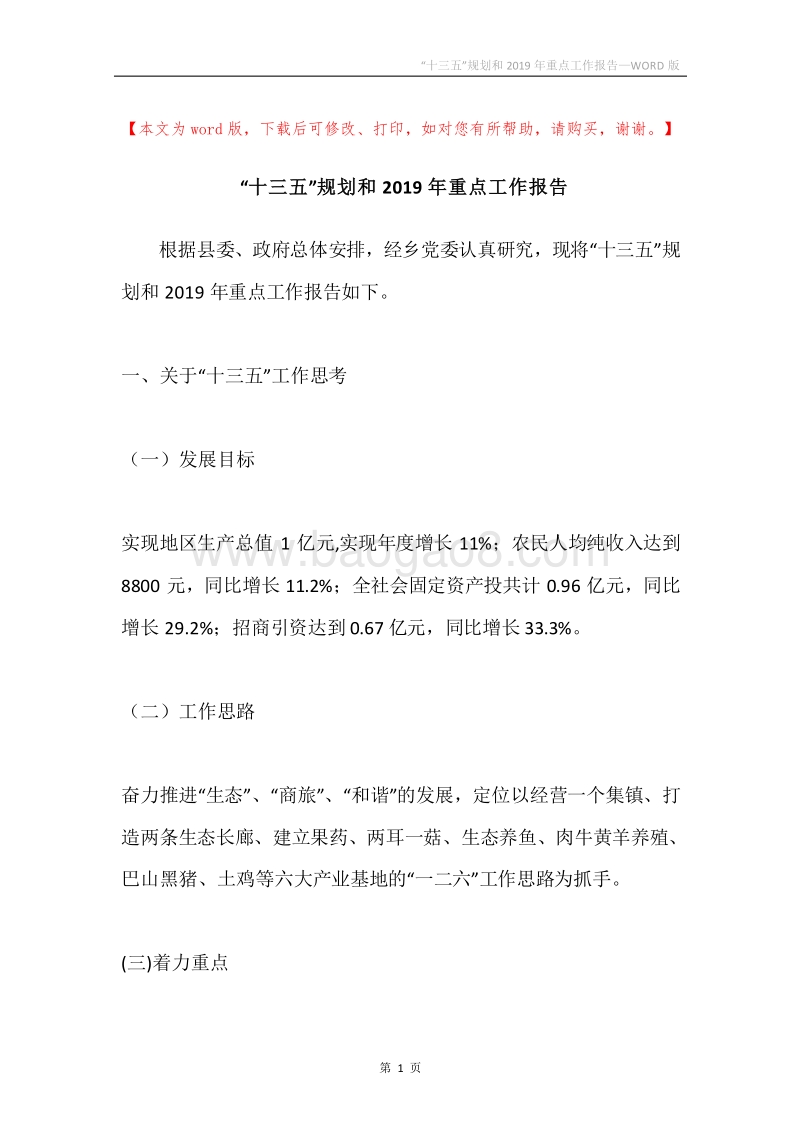 “十三五”规划和2019年重点工作报告.docx_第1页