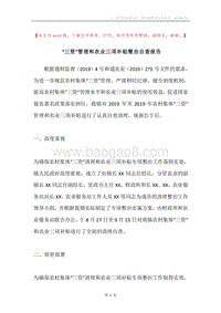 “三资”管理和农业三项补贴整治自查报告.docx