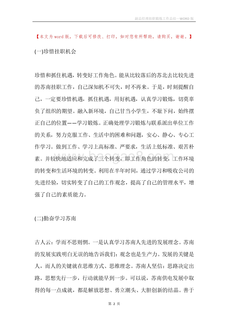 副总经理挂职锻炼工作总结.docx_第2页