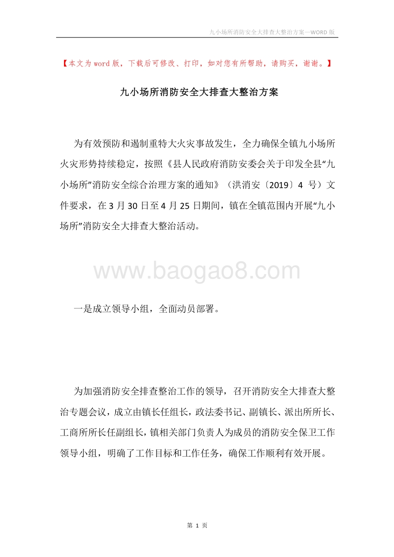 九小场所消防安全大排查大整治方案.docx_第1页