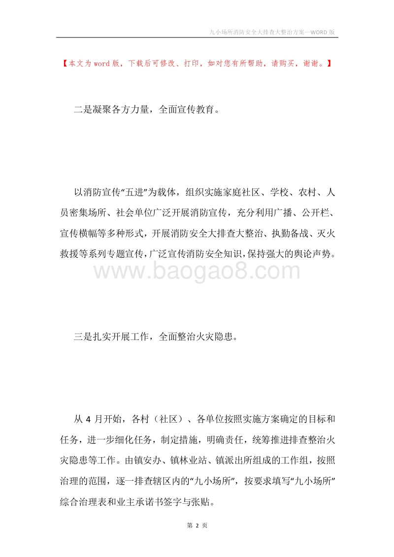 九小场所消防安全大排查大整治方案.docx_第2页