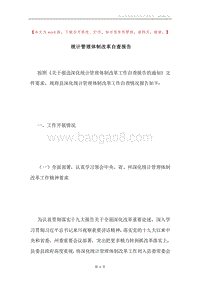 统计管理体制改革自查报告.docx