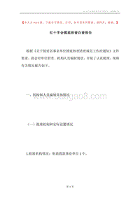 红十字会摸底核查自查报告.docx