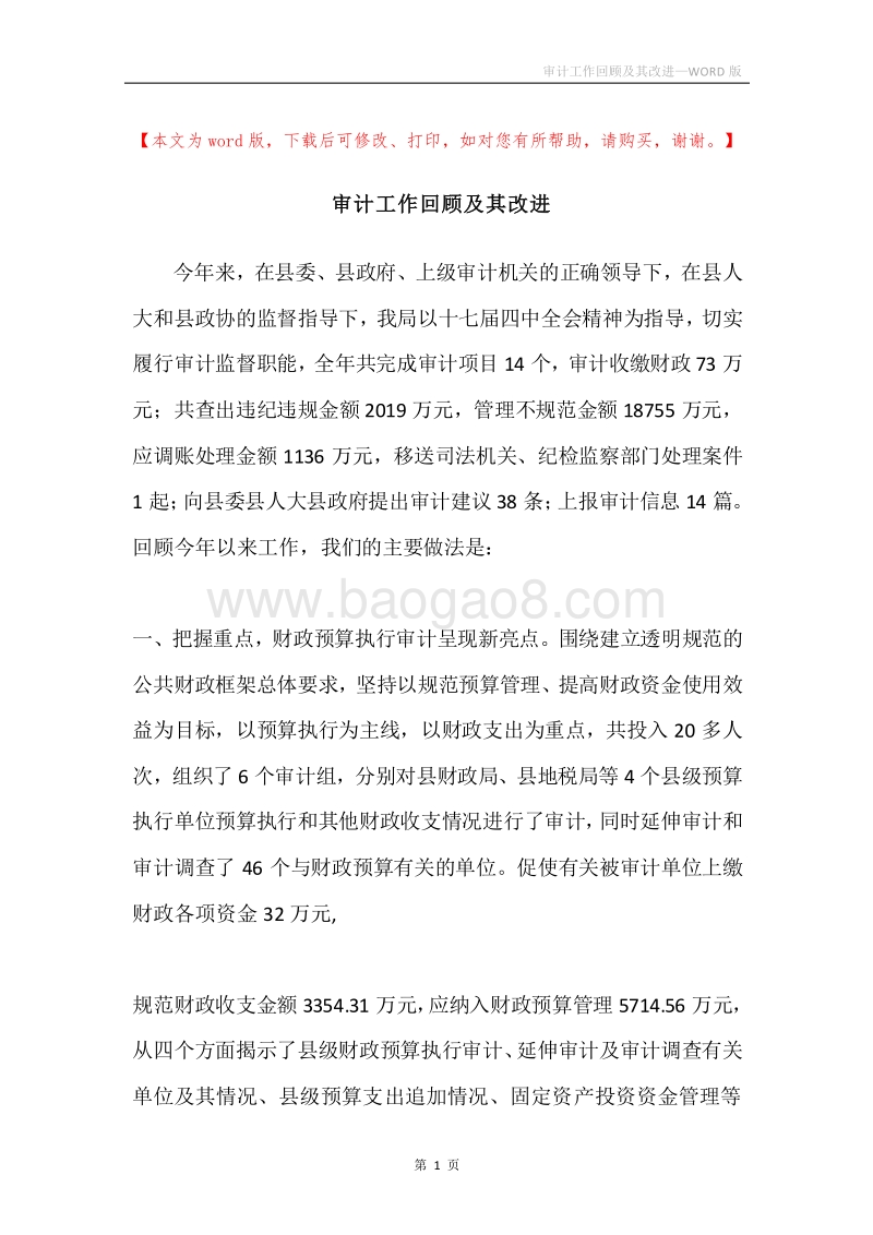 审计工作回顾及其改进.docx_第1页