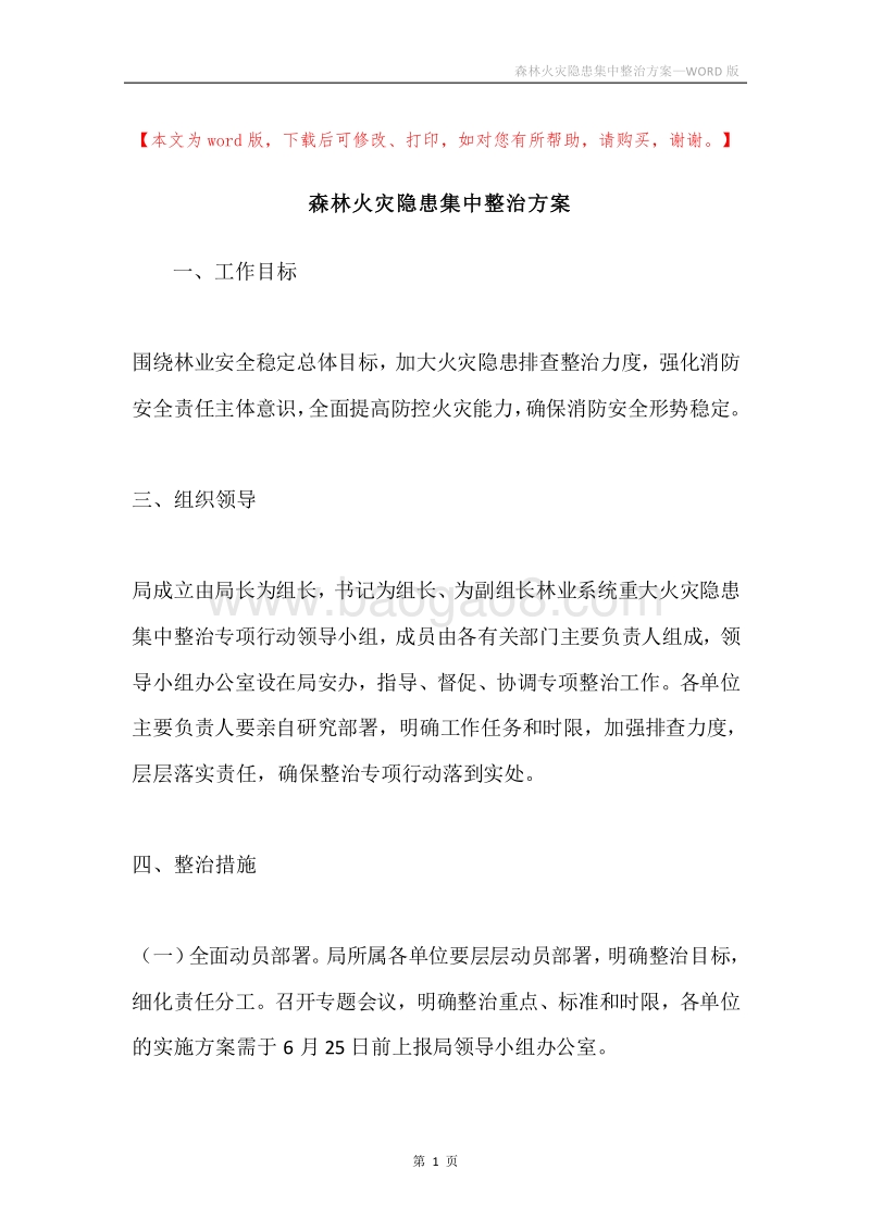 森林火灾隐患集中整治方案.docx_第1页