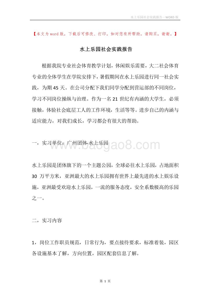 水上乐园社会实践报告.docx_第1页