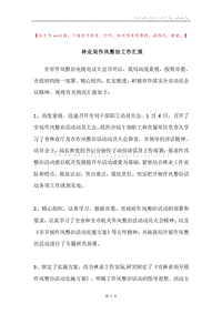 林业局作风整治工作汇报.docx