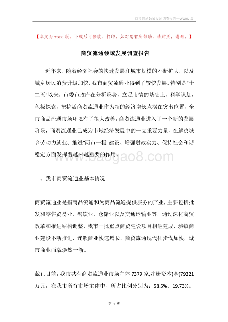 商贸流通领域发展调查报告.docx_第1页