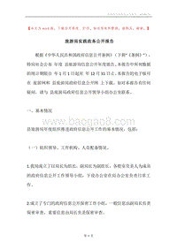 旅游局实践政务公开报告.docx