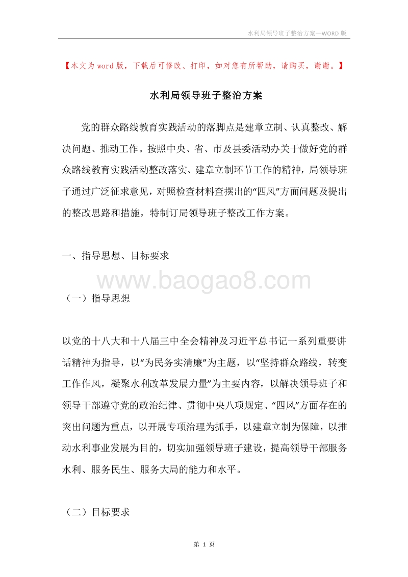 水利局领导班子整治方案.docx_第1页
