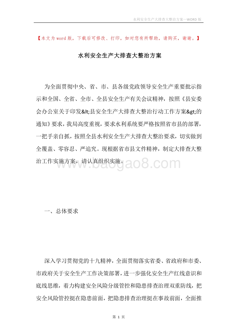水利安全生产大排查大整治方案.docx_第1页