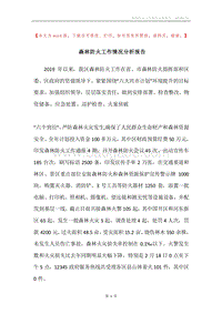 森林防火工作情况分析报告.docx