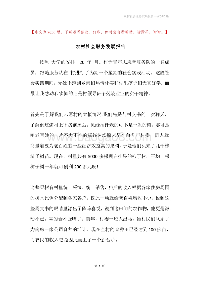 农村社会服务发展报告.docx_第1页