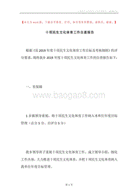 十项民生文化体育工作自查报告.docx
