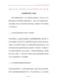 企业财务年底个人总结.docx