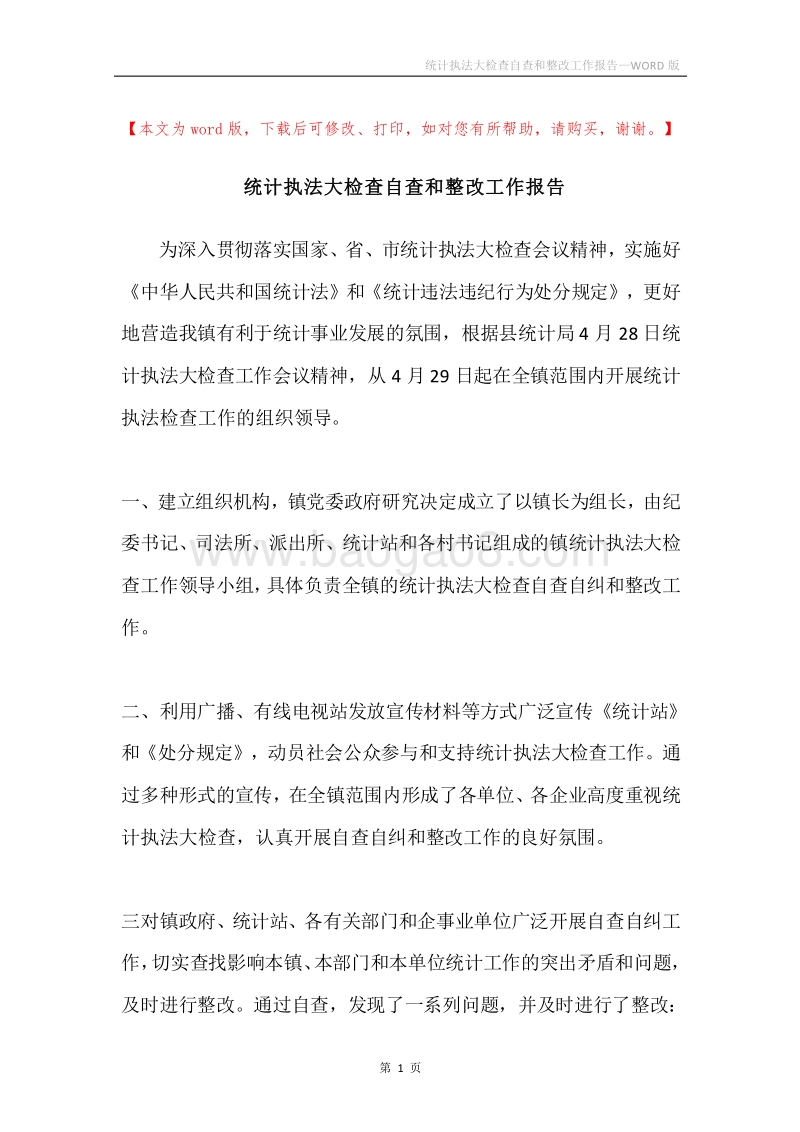 统计执法大检查自查和整改工作报告.docx_第1页