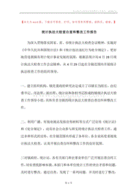 统计执法大检查自查和整改工作报告.docx