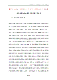 农村改革加快农业现代化发展工作意见.docx