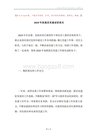 2019年抓基层党建述职报告.docx