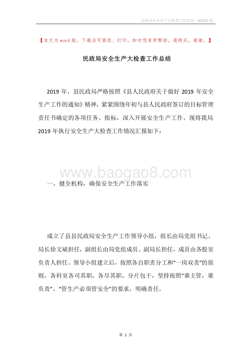 民政局安全生产大检查工作总结.docx_第1页