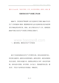 民政局安全生产大检查工作总结.docx