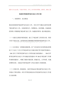 民政局“救急难”综合试点工作汇报.docx