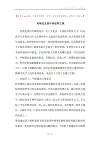 村镇党支部年终述职汇报.docx