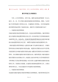都市环境卫生考察报告.docx