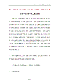 2019年地方领导个人整改方案.docx