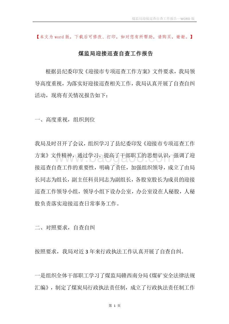 煤监局迎接巡查自查工作报告.docx_第1页