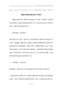煤监局迎接巡查自查工作报告.docx
