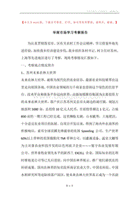 华南市场学习考察报告.docx