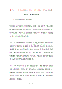 审计项目建设经验交流.docx