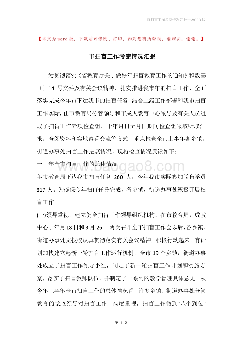 市扫盲工作考察情况汇报.docx_第1页