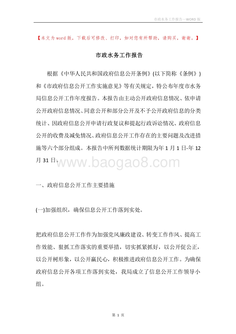 市政水务工作报告.docx_第1页