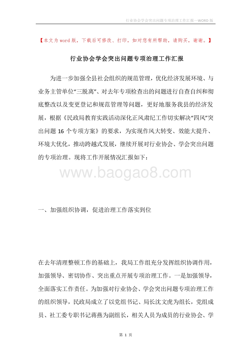 行业协会学会突出问题专项治理工作汇报.docx_第1页