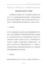 民政局2019年安全生产工作意见.docx