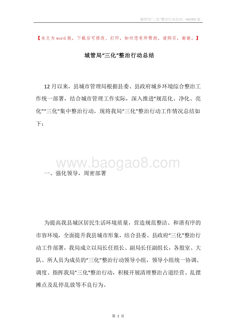 城管局“三化”整治行动总结.docx_第1页