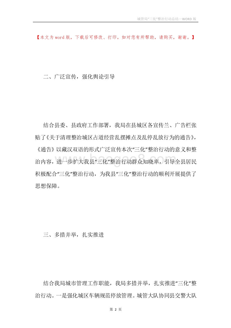 城管局“三化”整治行动总结.docx_第2页
