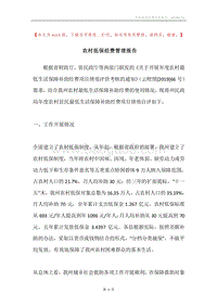 农村低保经费管理报告.docx