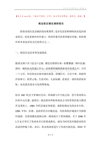 商业街区情况调研报告.docx