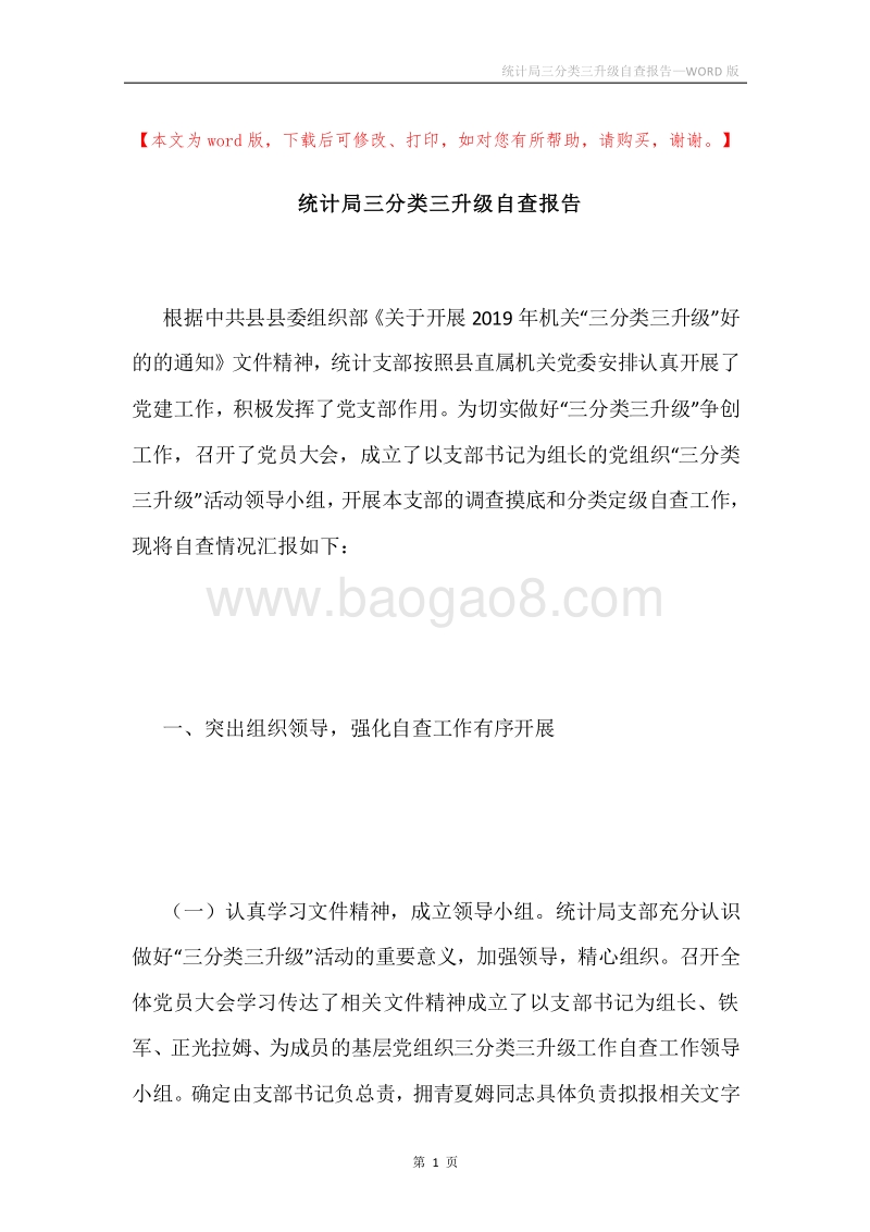 统计局三分类三升级自查报告.docx_第1页