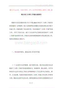 统计局三分类三升级自查报告.docx