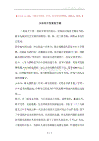 少林寺开发策划方案.docx