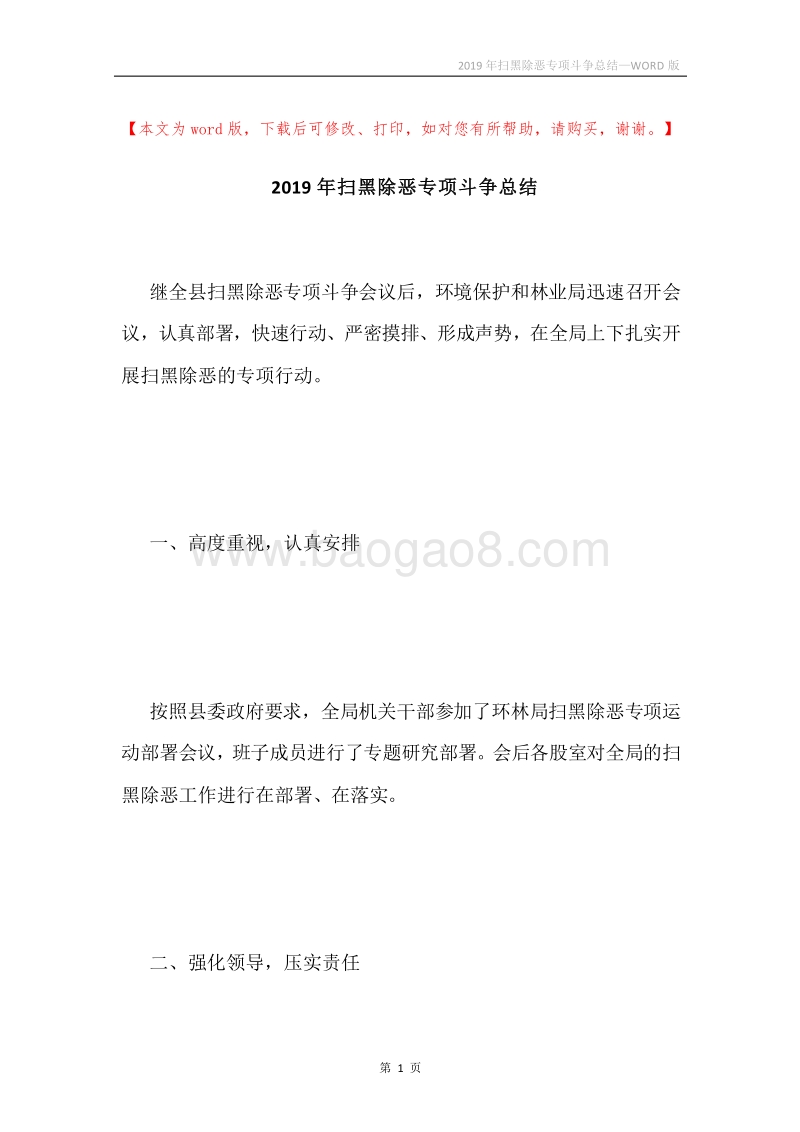 2019年扫黑除恶专项斗争总结.docx_第1页